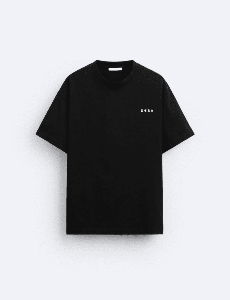 Epa Mask Artifacts T-Shirt