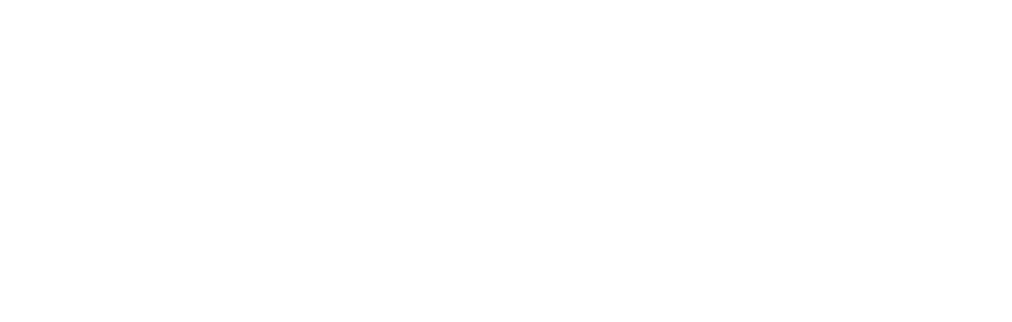 Shina Luxury